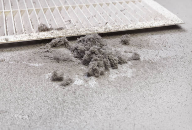 Best Home Air Vent Cleaning  in Bellevle, IL