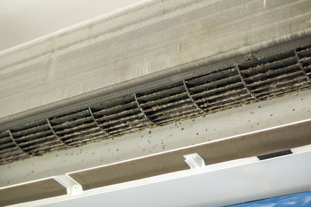 Best Home Air Vent Cleaning  in Bellevle, IL